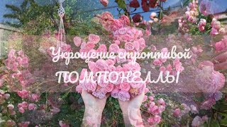 Rose Pomponella Kordes 2005 #rose #2023 как ❓укротить Строптивую Розу 🤗-все просто 🤗КУСТОДЕРЖАТЕЛЬ 🌹