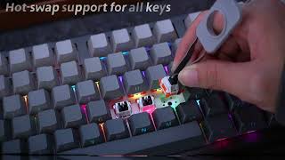 AULA F87 Pro. A keyboard with a special charm, come and DIY your own!