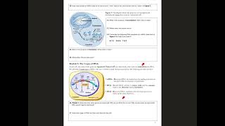 trancrption translation protein synthesis