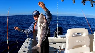 Pesca denton, esperimentando, otras tecnicas