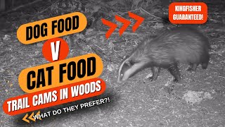 Animals Reaction: Cat Food V Dog Food  Left In The Woods