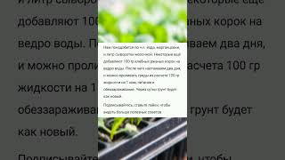 Омолаживающее средство для почвы. Через сутки почва как новая