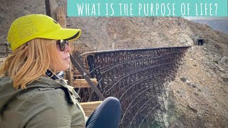 What is the Purpose of Life? | Deep Thoughts While Hiking