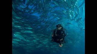 Scuba Diving Sites in Cabo San Lucas