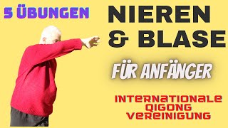 5 Qigong Nieren Übungen - full routine - für Anfänger