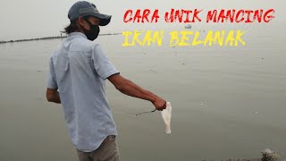 TERNYATA BEGINI CARA MANCING IKAN BELANAK