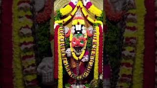 om namo venkateshaya🙏🙏 #tirupati #venkateswarasongs #omnamovenkatesaya #motivation #telugu #youtube