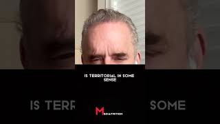 Putin will destroy the world  Jordan Peterson #shorts