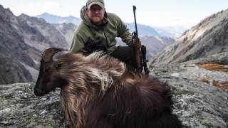 Hunting in New Zealand