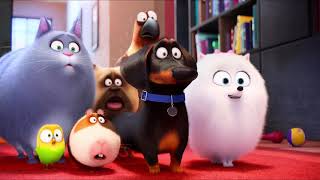 The Secret Life Of Pets