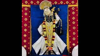 श्रीनाथजी की झांकी - Shrinathji ki jhanki