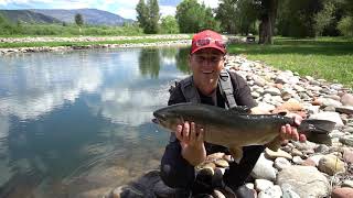 River Frontage and Stocked Ponds // 875 Rose Lane Carbondale, CO