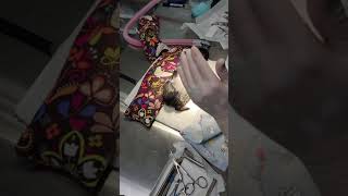 Flank Approach Guinea Pig Spay Instructional Video by Dr. Jhondra Funk