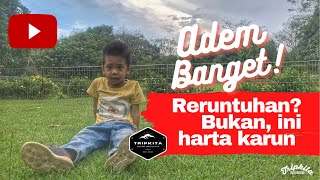 Diary Of Tripkita Indonesia - Reruntuhan? Bukan, ini harta karun!!! Candi Pematang Jering