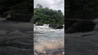 Manhã tranquila na Cachoeira #shorts