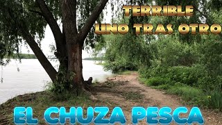 TERRIBLE PESCA EN LA ISLA EL DORADO / PESCA Y COCINA / PESCA EN ZARATE..