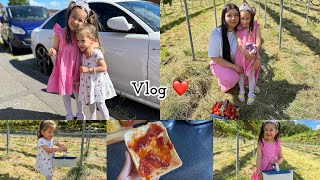 Vlog de weekend ❤️ | Mergem la ferma ce capsuni 🍓 | Dulceata de capsuni | Timp petrecut împreună 🍀