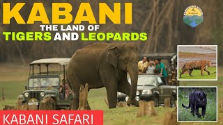 Kabini Wild life Safari|Close encounter of Wild Animals| Nagarhole National park| karnataka|