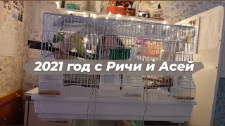 2021 год с Ричи и Асей.