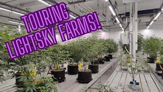 TOURING LIGHTSKYFARM'S HUGE LEGAL GROW OP!!!