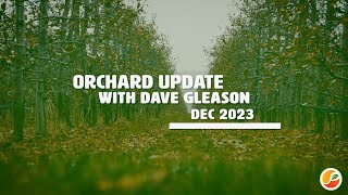 Orchard update Dec 2023