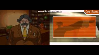 Phoenix Wright: Ace Attorney - Case 2E13