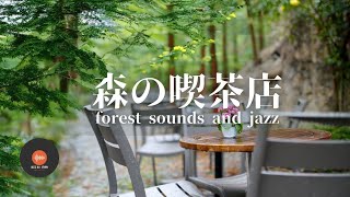 環境音+JAZZ やさしい森の喫茶店  森の中の音でリラックス  作業、勉強、リラックスタイムに CAFE MUSIC - 作業用BGM