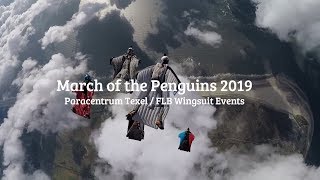 March of the Penguins 2019 - Paracentrum Texel - Wingsuit Event