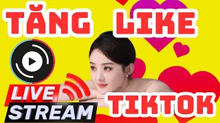 ✅ TĂNG LIKE TIM LIVESTREAM TIKTOK MỚI NHẤT,LÊN LUÔN,NHANH CHÓNG