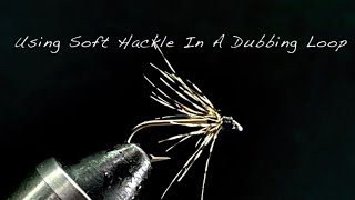 Soft Hackle Dubbing Loop