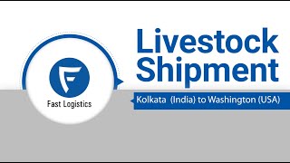 Live Stock Shipment | Domestic Cat | Fast Logistics