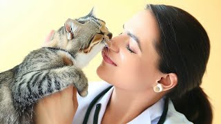 The Doctor Kissed The Cat A Minute Later Something Unthinkable Happened | Unknown Facts