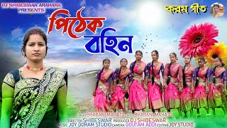 পিঠেক বহিন || Pithek Bahin ||New Karam Geet ||Singer Bhabani Mahato