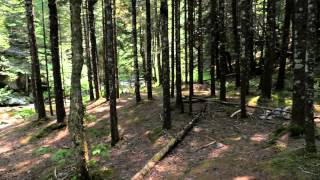 Walton Glen Gorge 4K - CBC New Brunswick