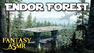 🌲Ambience ASMR | Endor Forest🌲 Ewok Noises, Forest Noises (🔫Star Wars inspired ASMR🔫)