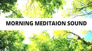 Nature Morning Mediation Music - Peace, Healing, Powerful Meditation Tranquility