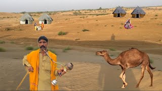 Beautiful life of camel herders in the desert || Beautiful desert village life