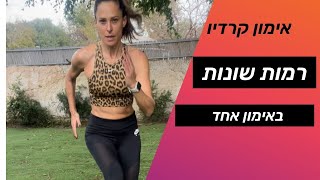 אימון קרדיו לרמות כושר שונות