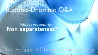 Can You Explain What You Mean By Non-separateness?