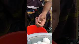 Quail Eggs Boiled ! Healthy street food #reels #shorts #viral