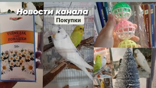 Новости канала |Новые покупки