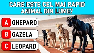 Cât de Bune sunt Cunoștințele tale Generale? | 50 Întrebări Grilă