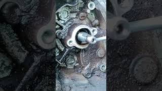 Activa magnet oil seal change #shortvideo #shorts  #activa #engene #oilseal #salimbikepoin