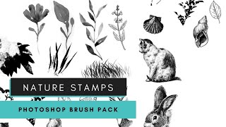 Bonus Material: Free Nature Stamp Photoshop Brush Pack + Course Giveaway 🖌️