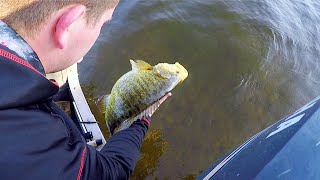 A 6lb+ Michigan Smallmouth (Inland Lake)