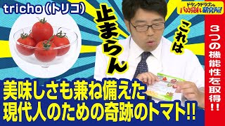 【トマト/機能性表示食品】3つの機能性を取得‼美味しさも兼ね備えた奇跡のトマト「tricho(トリコ)」とは！（ドランクドラゴンのバカ売れ研究所　公式）