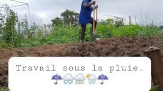 6 août 2021 : Malgré la ☔🌧⛈, on avance pour la saison atutomne/hiver.