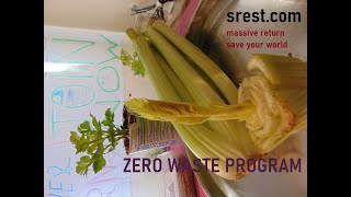 Recycling Celery Waste - live healthy - lets create zero waste world - CONTRIBUTE NOW,  see Desc↓↓