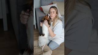 Understanding Dog Body Language: Key Signs to Watch For 🐶 #shorts #ytshortsvideo #youtubeshorts