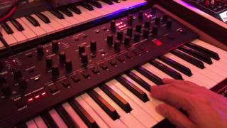 Mother CatDrone - DSI/Oberheim OB6, Moog Mother 32, Yamaha Montage, Octave The Cat, Roland RE-301